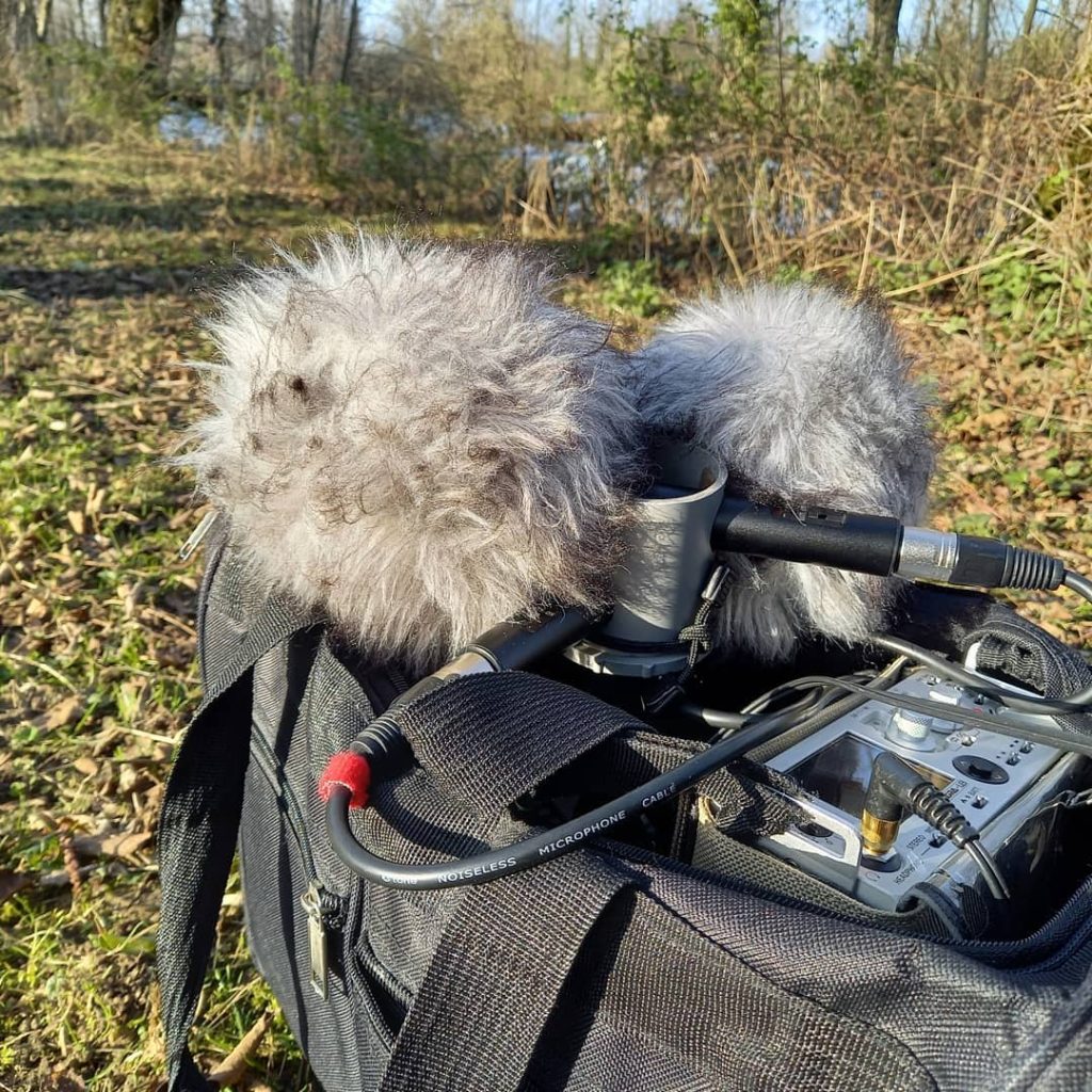 Balade sonore dans les marais de la Scarpe