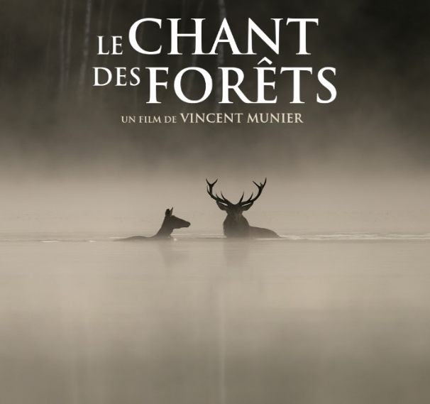 Le chant des forêts